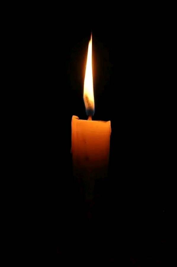 Sam Masaru Sekoff Los Angeles, CA Death